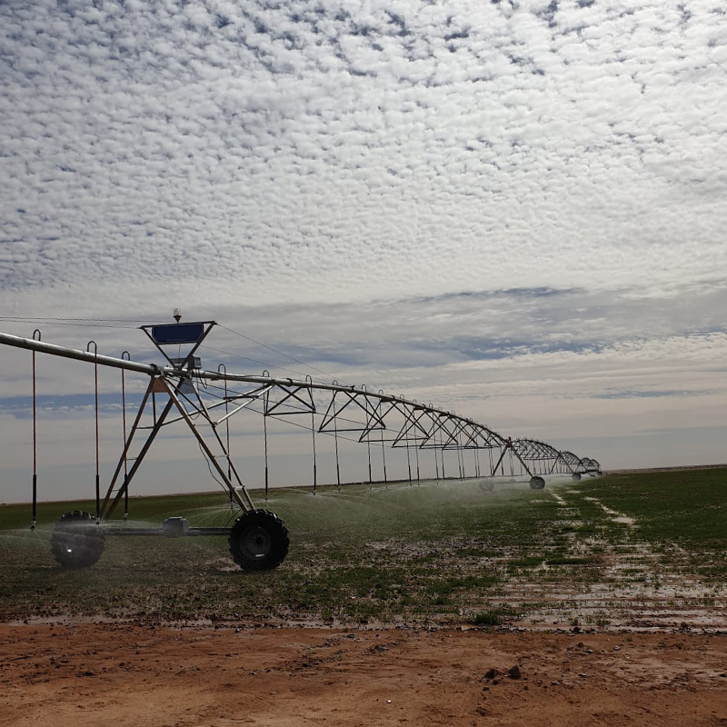 Center pivot irrigation system watering a newly planted field