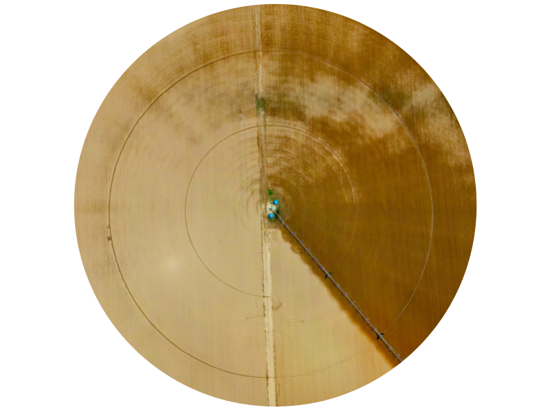 Aerial view of a circular field irrigated by a central pivot system