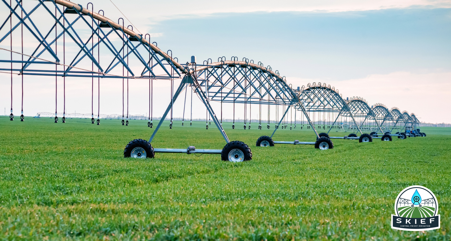 Skief Pivot standard pivot irrigation towers in a green field