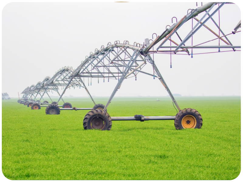 Wheeled towers of a standard pivot irrigation system in a green field